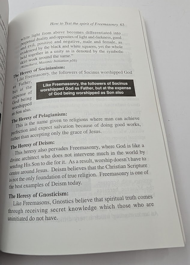 How to Tell if Youve Been Blinded by the Lie Lyndon Ellis PB 1998 Occult Witches