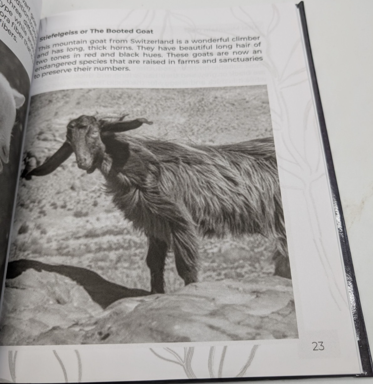 Goats Raising for Beginners by Bryce McKenzie Hardcover