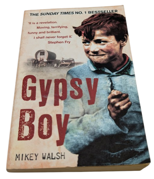 Gypsy Boy: One boy's struggle to escape from a secret world by Mikey Walsh 2010