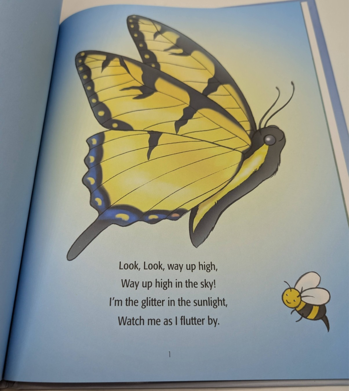 Miracle of a Butterfly by Betty Lowery, Paul Lowery Hardcover