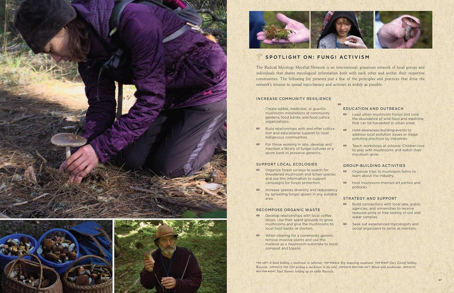 Fantastic Fungi : How Mushrooms Can Heal, Shift Consciousness, Save the planet