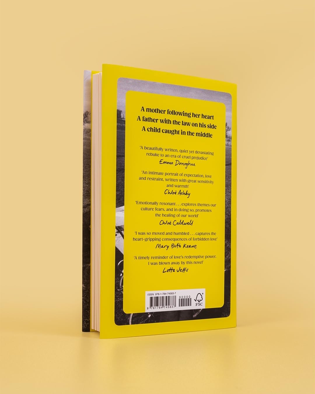 A Family Matter by Claire Lynch HC