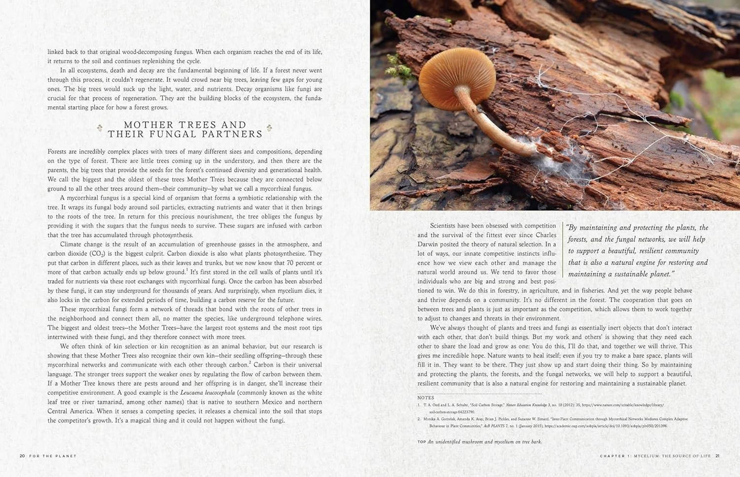 Fantastic Fungi : How Mushrooms Can Heal, Shift Consciousness, Save the planet