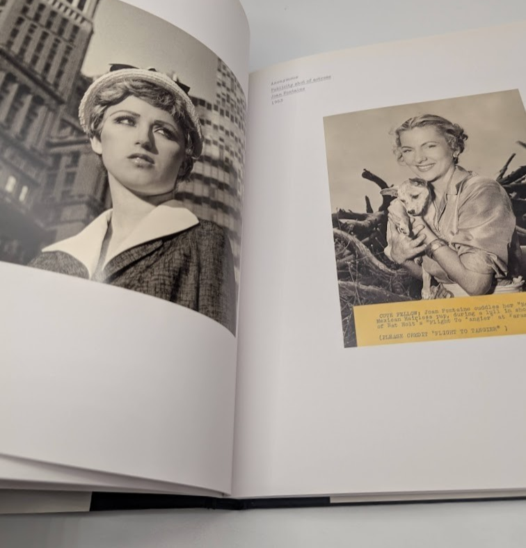 Nature Of Photographs Stephen Shore  Photography Art Primer