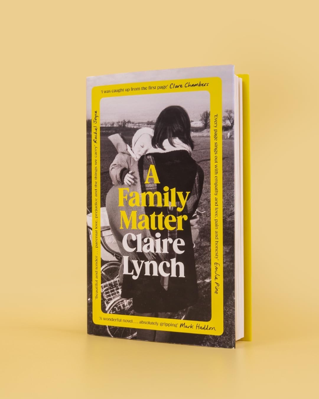 A Family Matter by Claire Lynch HC