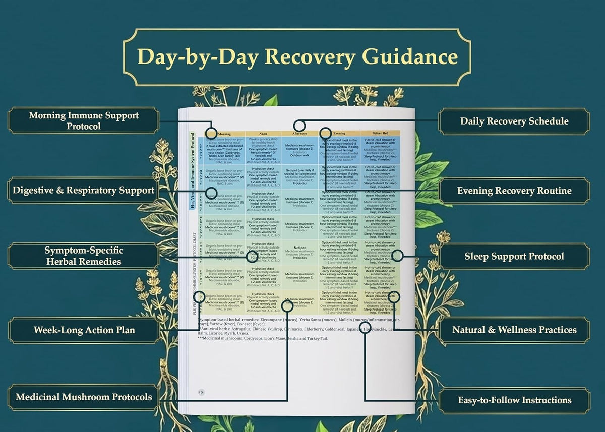 The Holistic Guide to Wellness : Herbal Common Ailments