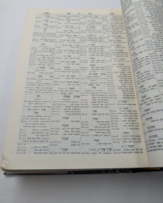 Hebrew and Chaldean Concordance of the Old Testament
