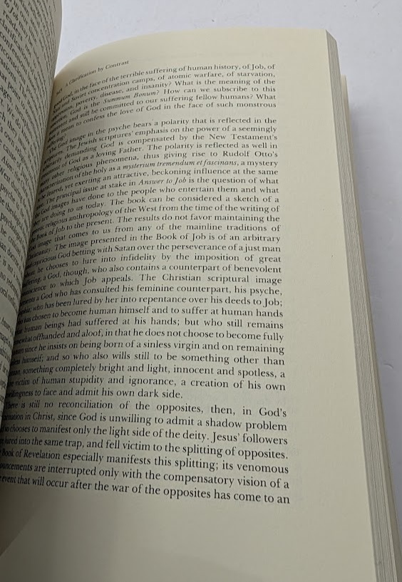 Theology and the Dialectics of History (Heritage) Robert Doran S.J. PB 1990