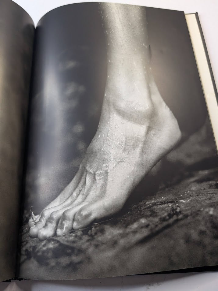 Fabrizio Ferri ACQVA Photography (Hardcover) 1st Edn (Acqua)
