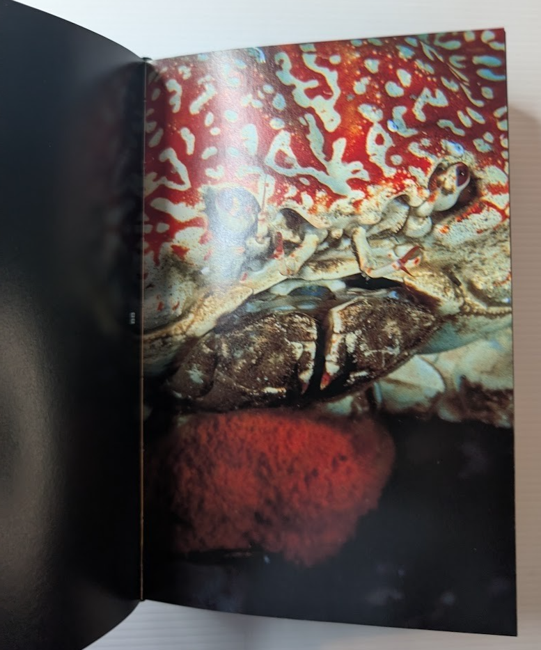 Fish Face: Portraits by David Doubilet - actual copy, photograph 6