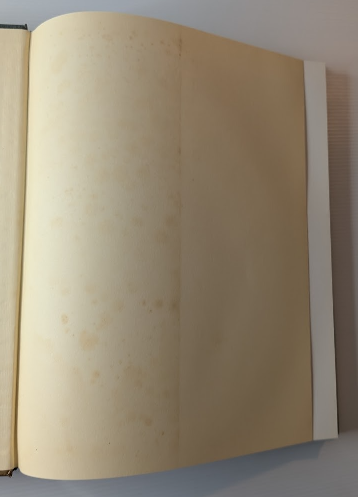 At My Table: Fresh and Simple Food - actual copy, photograph 5