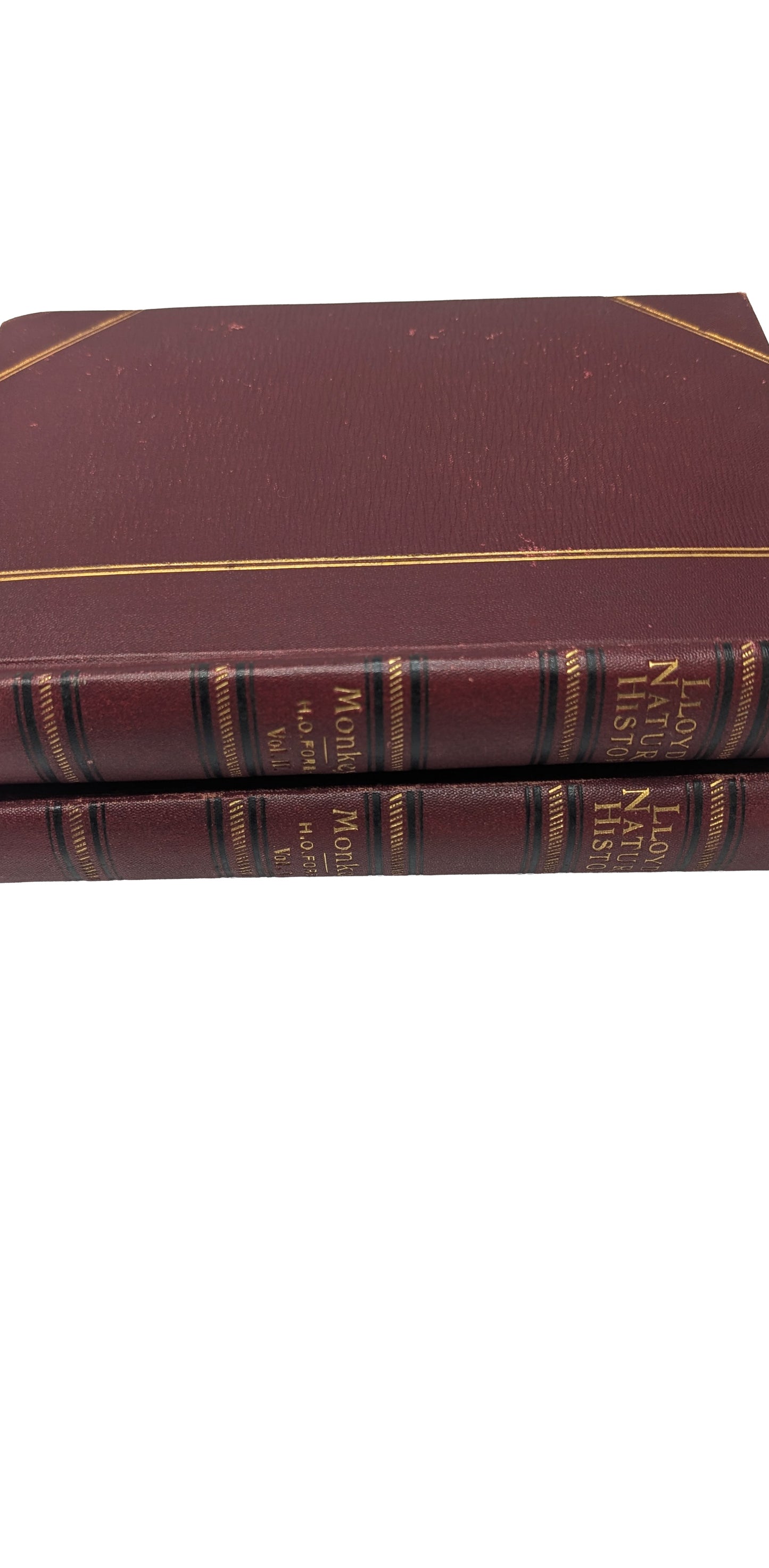 A Handbook to the Primates, Vols I & II, Forbes, 1896. Lloyds