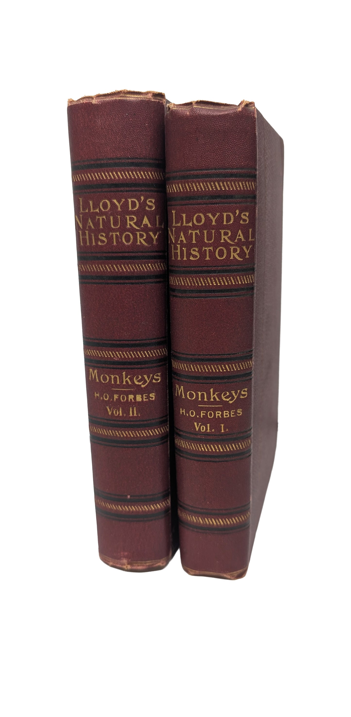 A Handbook to the Primates, Vols I & II, Forbes, 1896. Lloyds