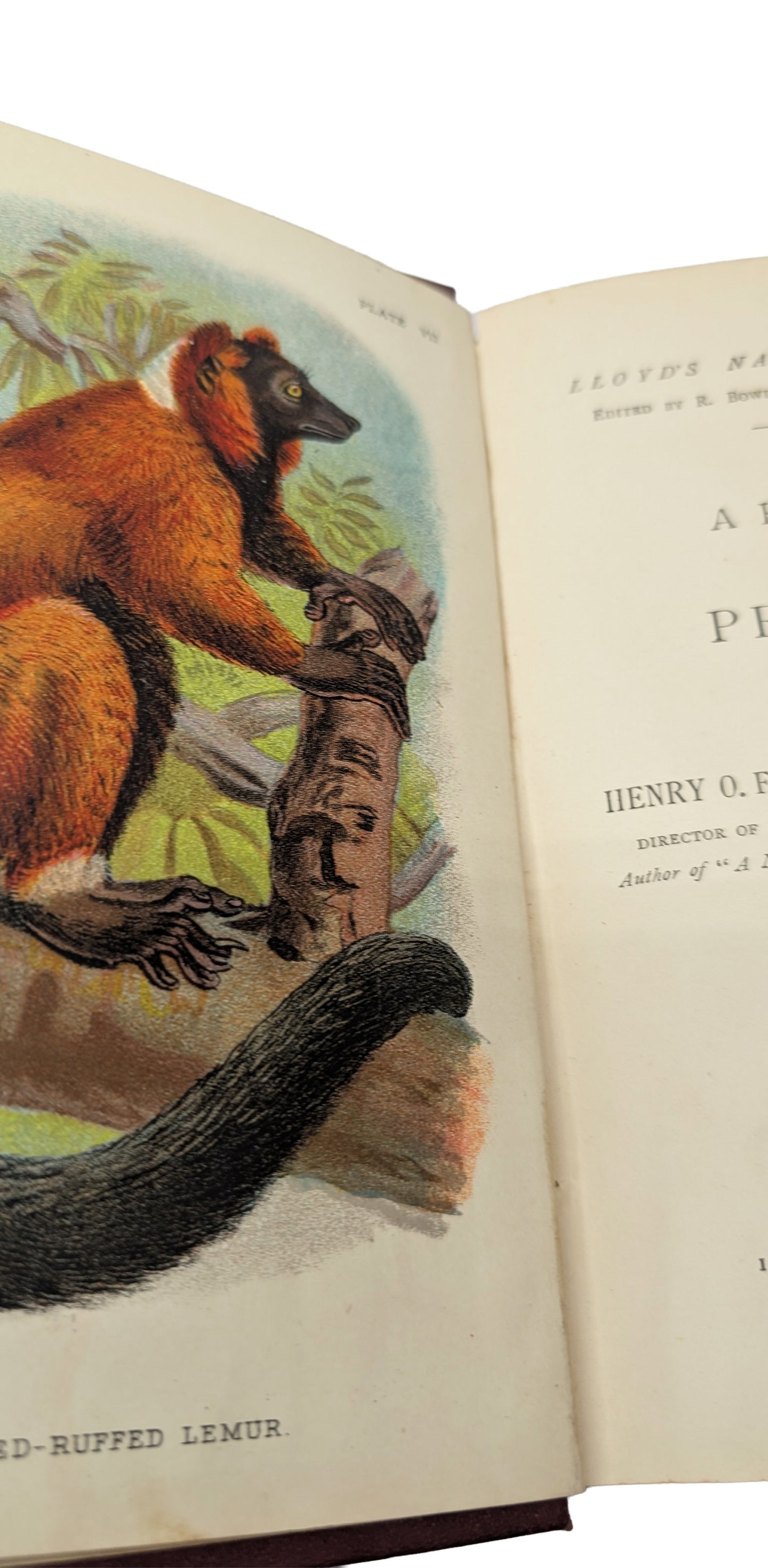 A Handbook to the Primates, Vols I & II, Forbes, 1896. Lloyds