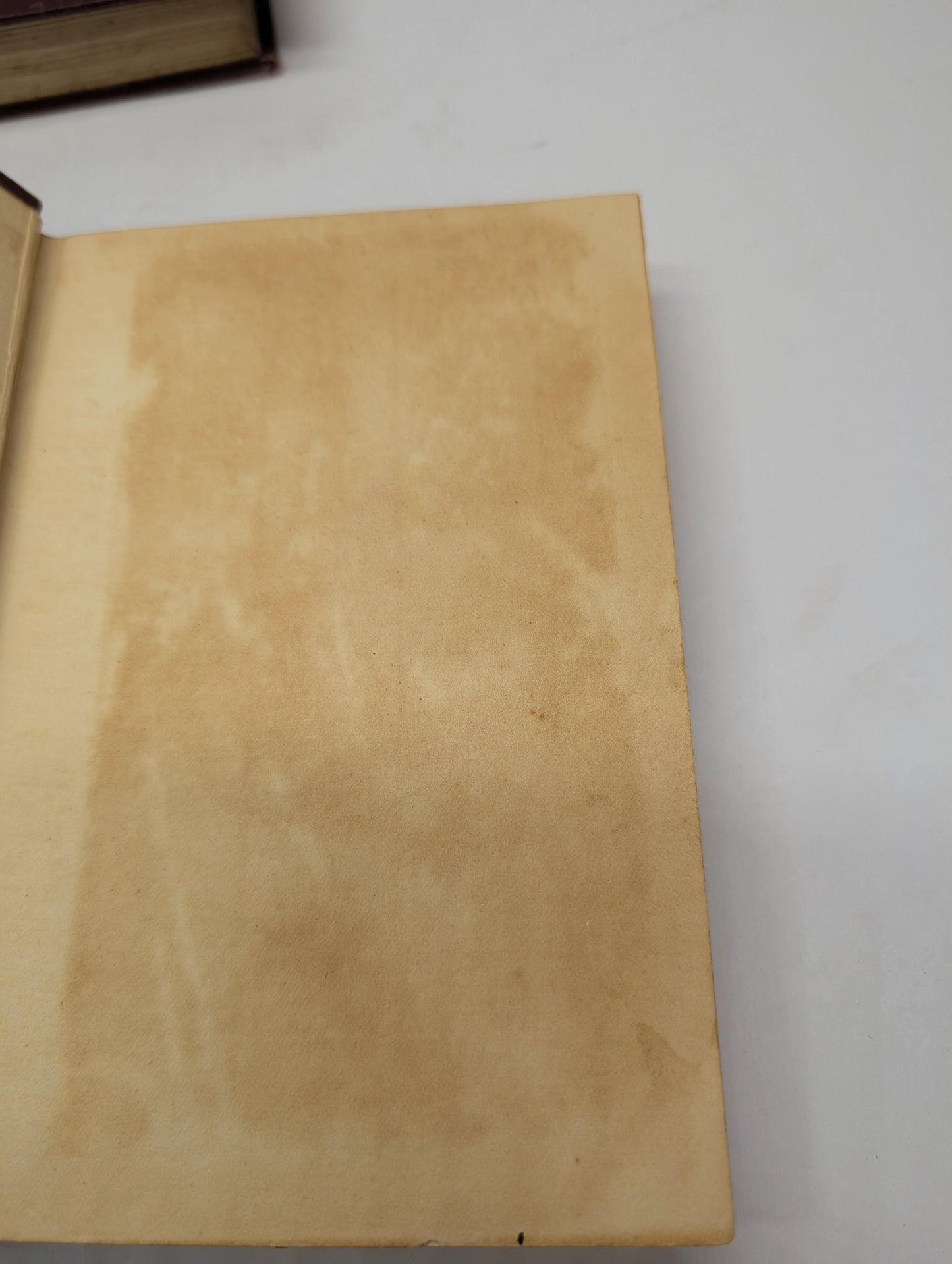 A Handbook to the Primates, Vols I & II, Forbes, 1896. Lloyds