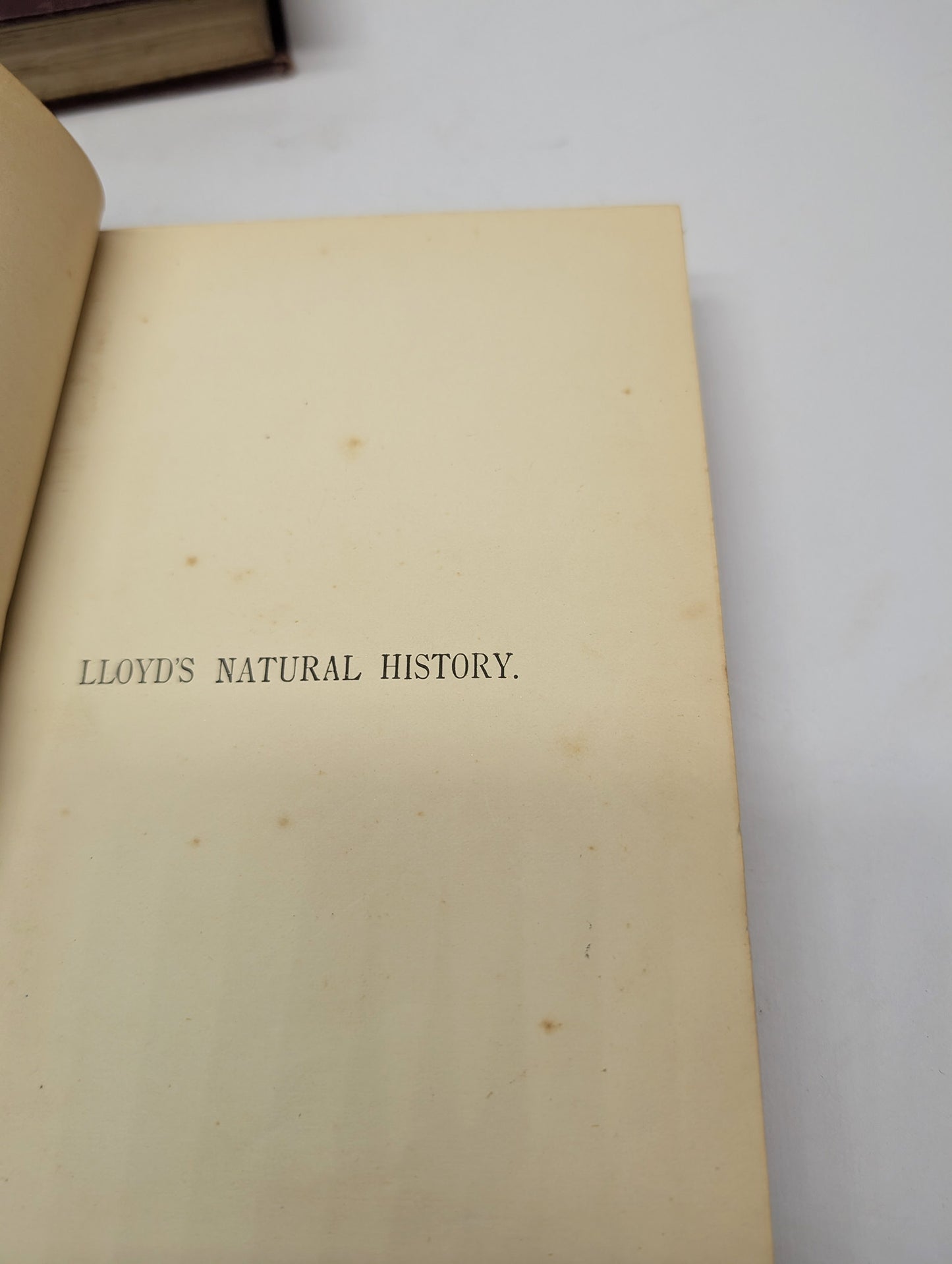 A Handbook to the Primates, Vols I & II, Forbes, 1896. Lloyds