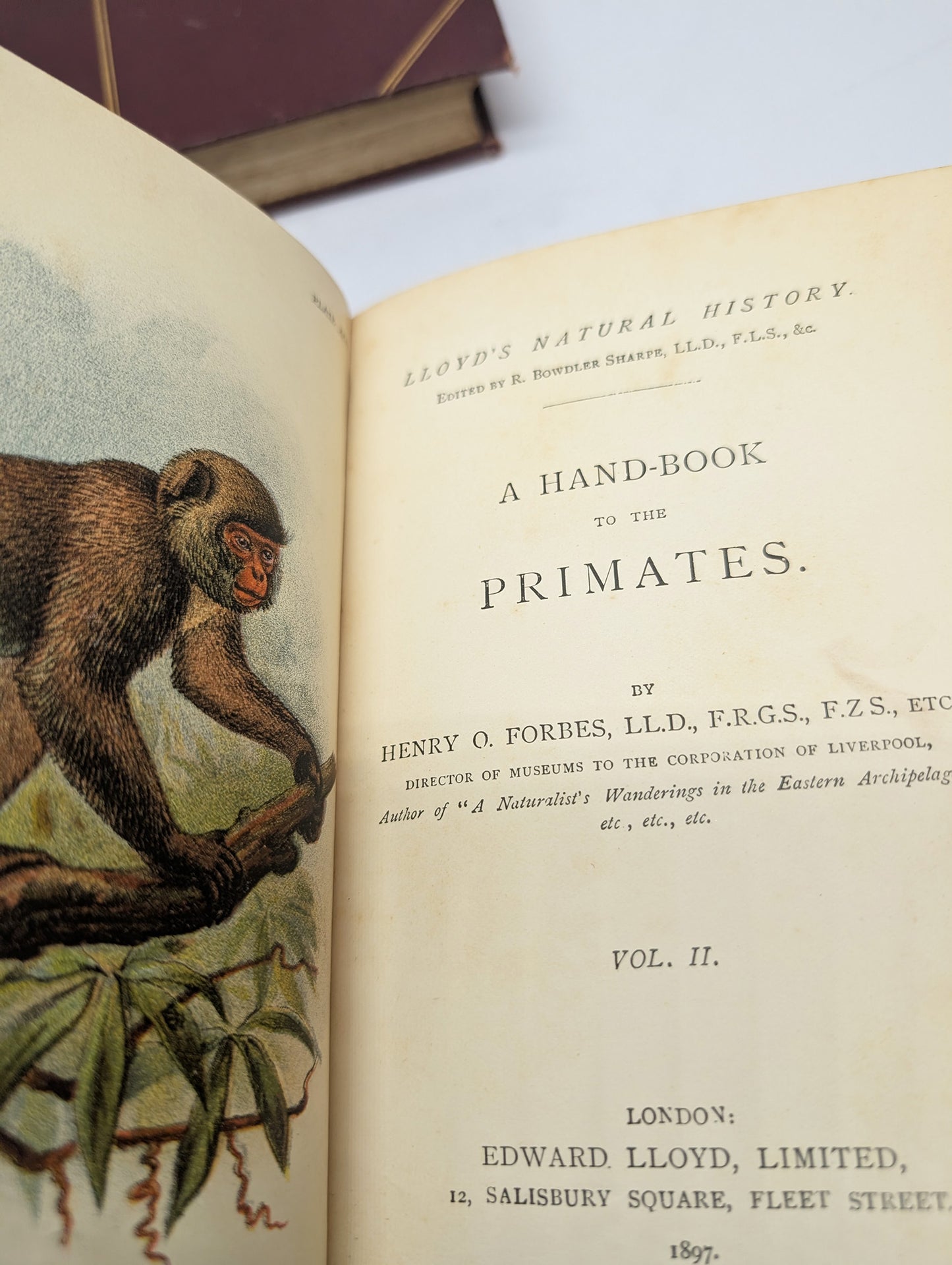 A Handbook to the Primates, Vols I & II, Forbes, 1896. Lloyds