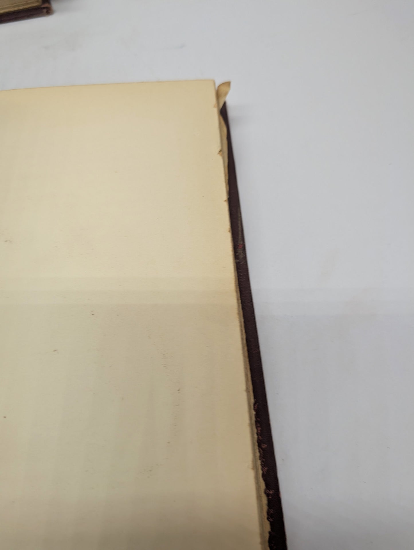 A Handbook to the Primates, Vols I & II, Forbes, 1896. Lloyds