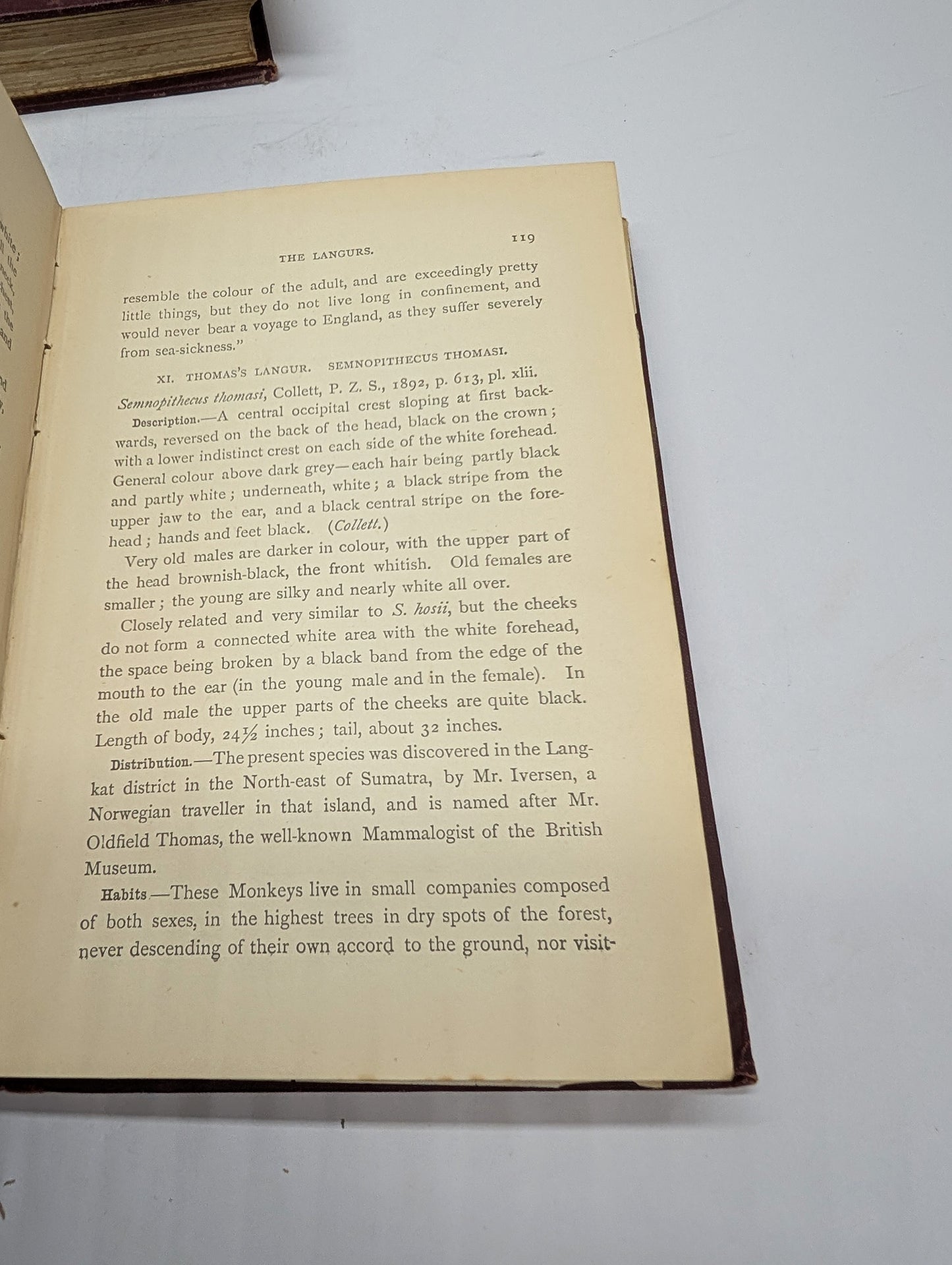 A Handbook to the Primates, Vols I & II, Forbes, 1896. Lloyds