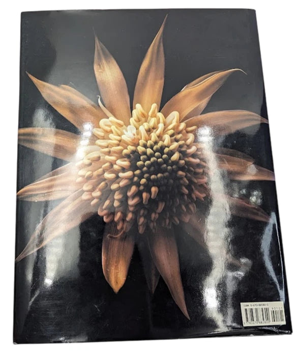 Grandiflora, photograph 2