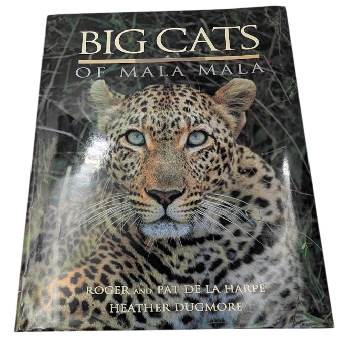 Big Cats of Mala Mala, photograph 1