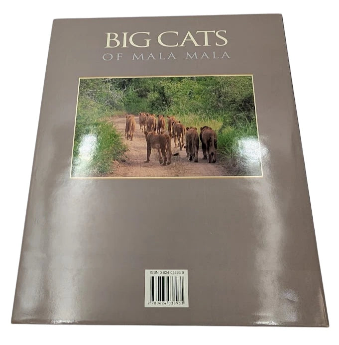 Big Cats of Mala Mala, photograph 2