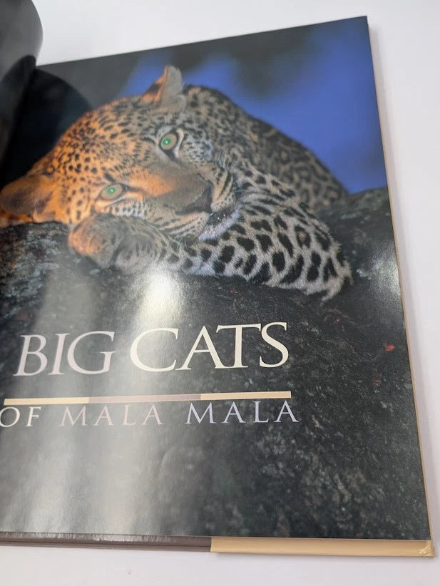 Big Cats of Mala Mala, photograph 3