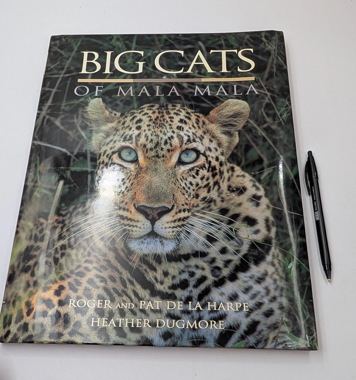 Big Cats of Mala Mala, photograph 8