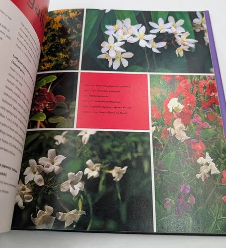 Colourful Gardening: Climbers, actual copy, photo 5 of 7