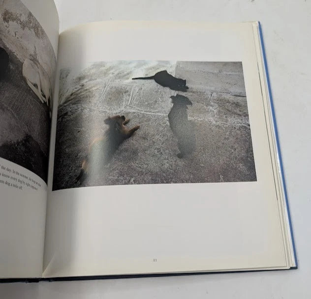 Dogs of the Greek Islands, Pearl Press photo 4