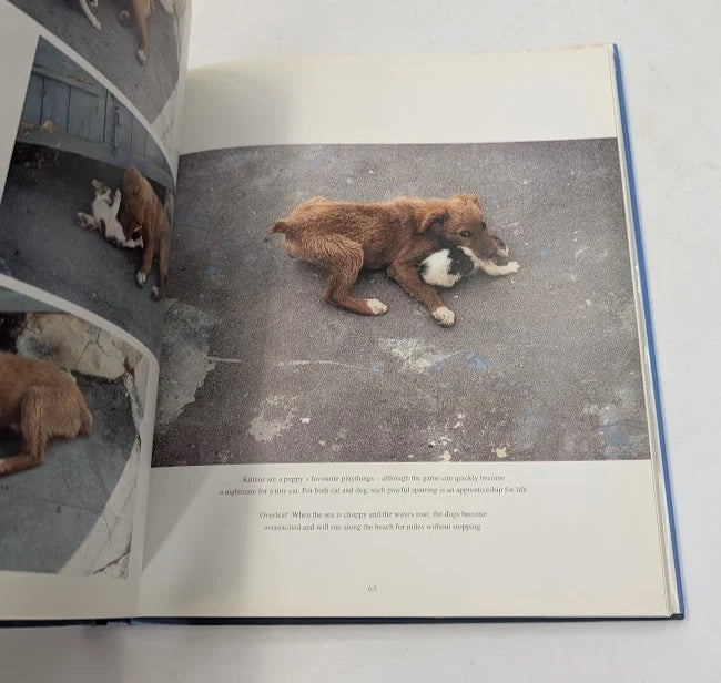 Dogs of the Greek Islands, Pearl Press photo 5