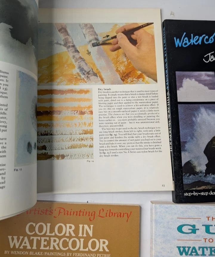 Four-book watercolour painting bundle, Pearl Press photograph 3