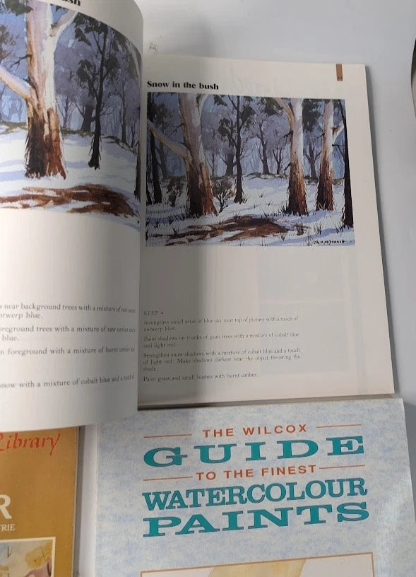 Four-book watercolour painting bundle, Pearl Press photograph 5