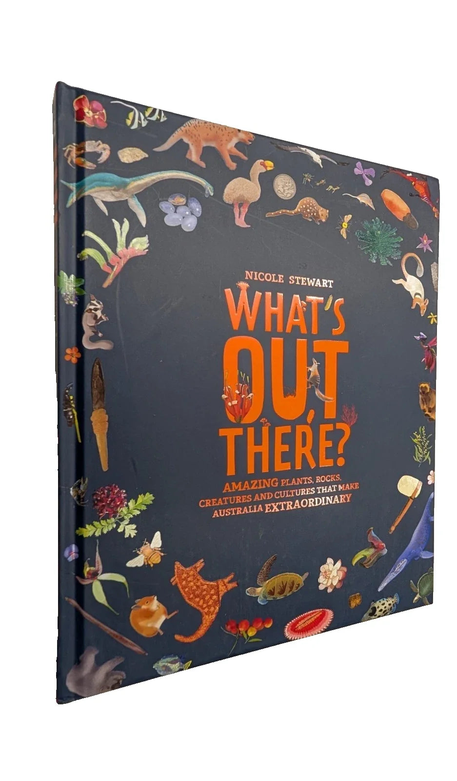 What's Out There?: Amazing Plants, Rocks, Creatures and Cultures That Make Australia Extraordinary - front cover