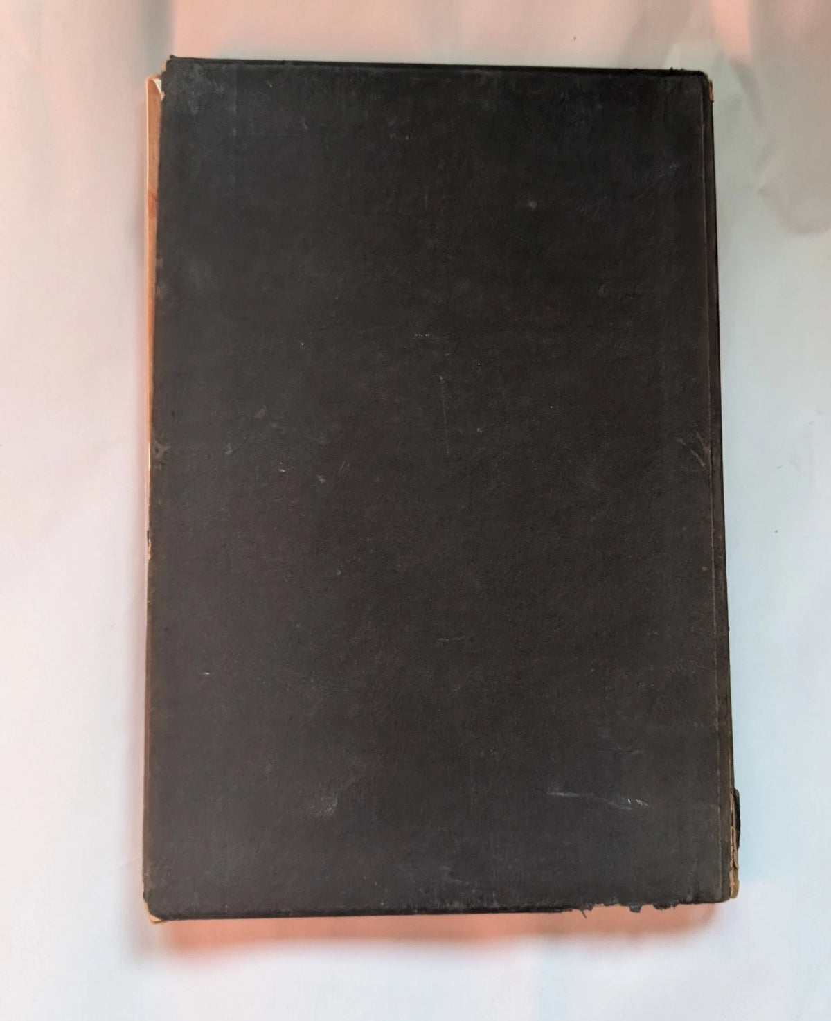 Eneas Africanus 1930 limited edition, Pearl Press photograph 13