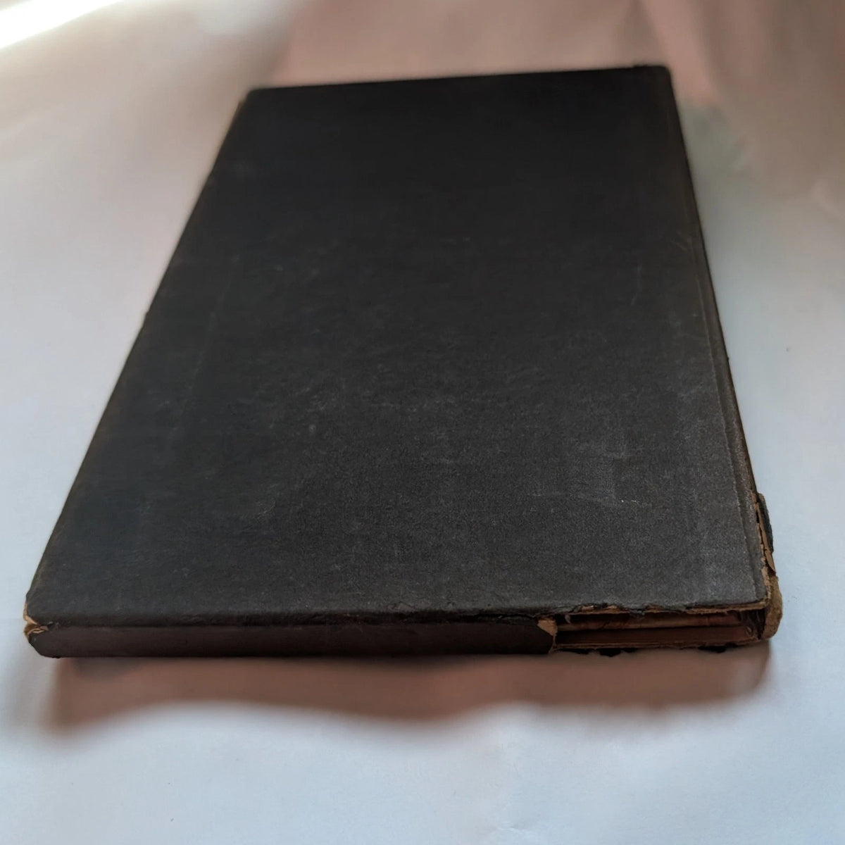 Eneas Africanus 1930 limited edition, Pearl Press photograph 14