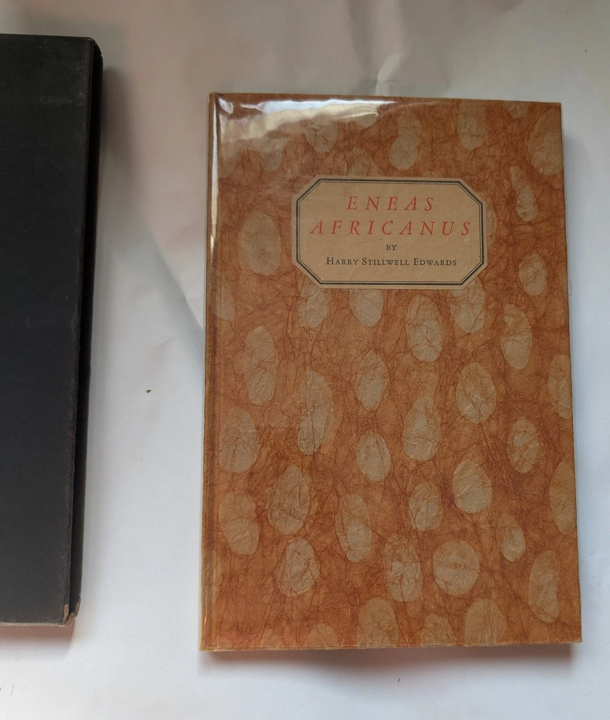 Eneas Africanus 1930 limited edition, Pearl Press photograph 2