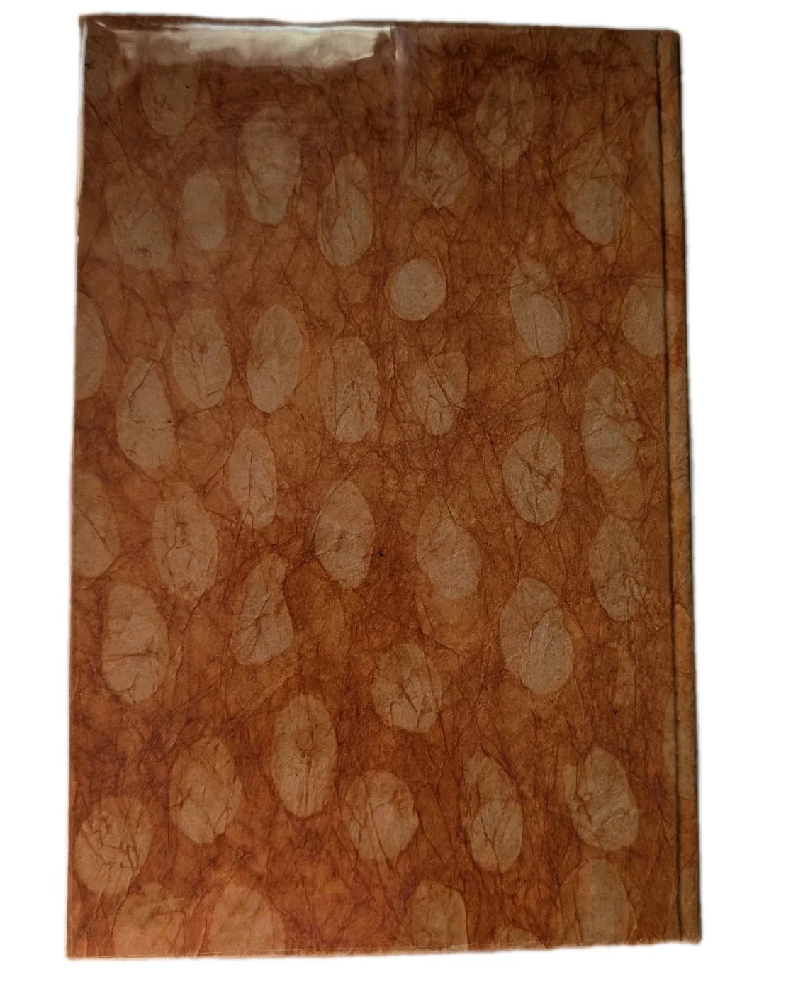 Eneas Africanus 1930 limited edition, Pearl Press photograph 3
