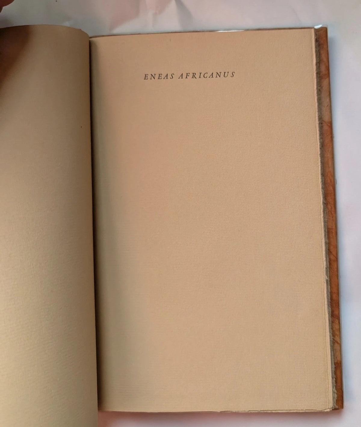 Eneas Africanus 1930 limited edition, Pearl Press photograph 8