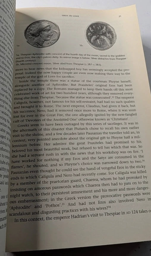 Greeks and Greek Love radical reappraisal of se xuality James Davidson 2008 PB, Pearl Press photograph 6