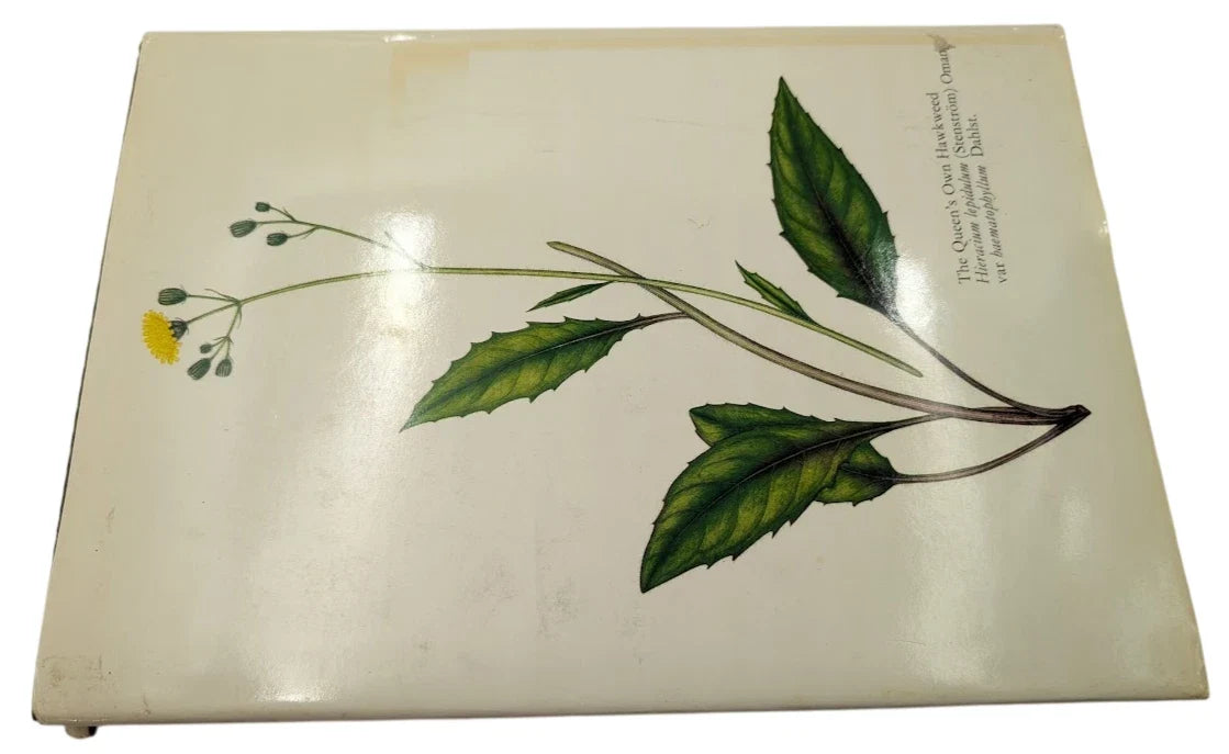 The Queen's Hidden Garden: Buckingham Palace's Treasury of Wild Plants - photograph 2
