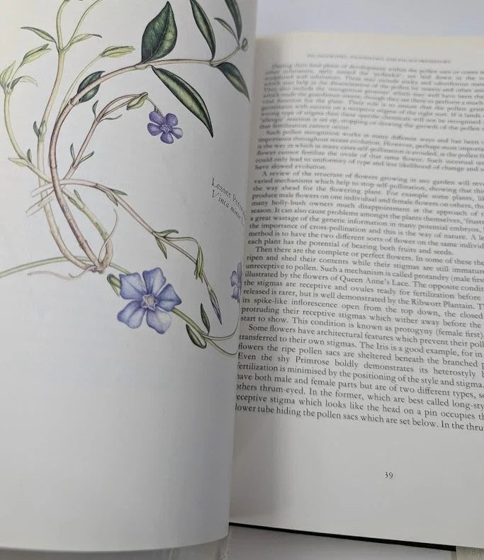 The Queen's Hidden Garden: Buckingham Palace's Treasury of Wild Plants - photograph 5