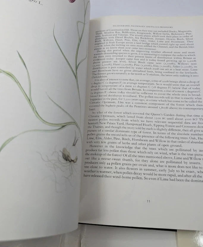 The Queen's Hidden Garden: Buckingham Palace's Treasury of Wild Plants - photograph 6