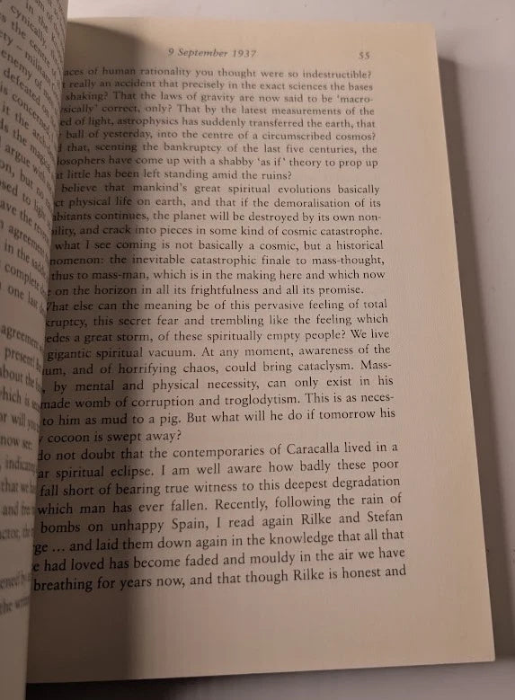Diary of a Man in Despair - photograph 7