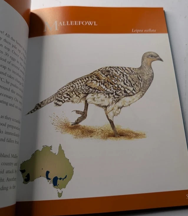 Fascinating Australian Birds by Don Goodsir - actual copy photo 5