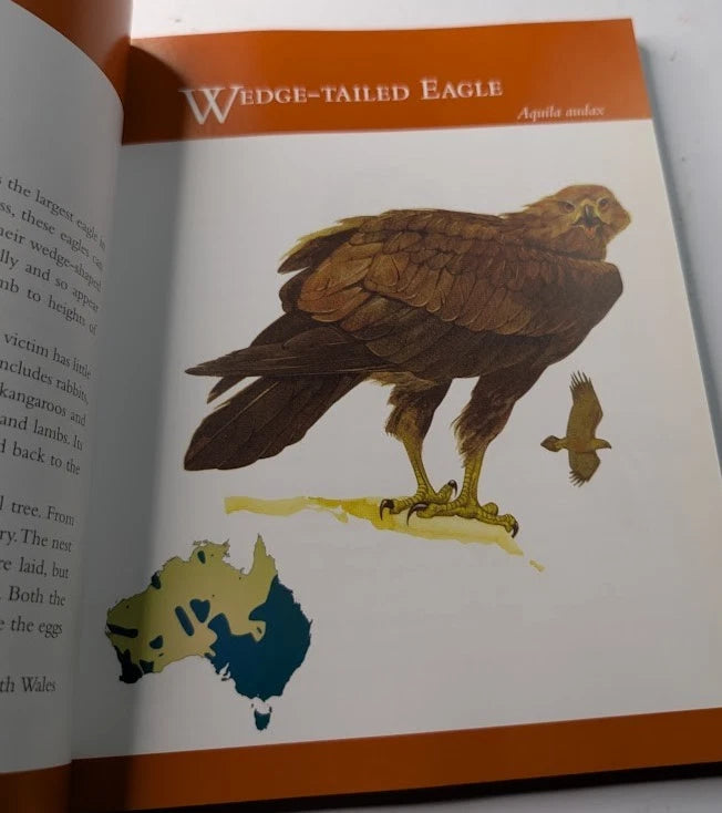 Fascinating Australian Birds by Don Goodsir - actual copy photo 6