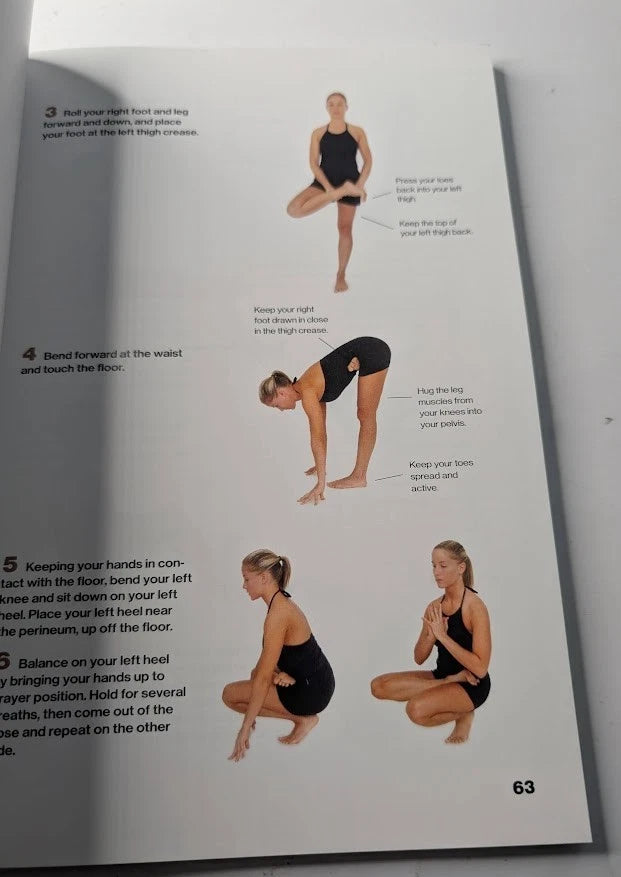 Hatha Yoga Illustrated, Pearl Press photo 6
