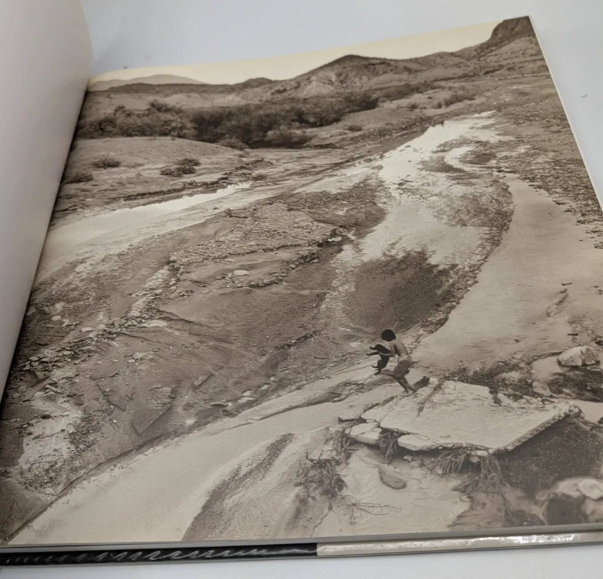 Big Bend Pictures- Travel Photography