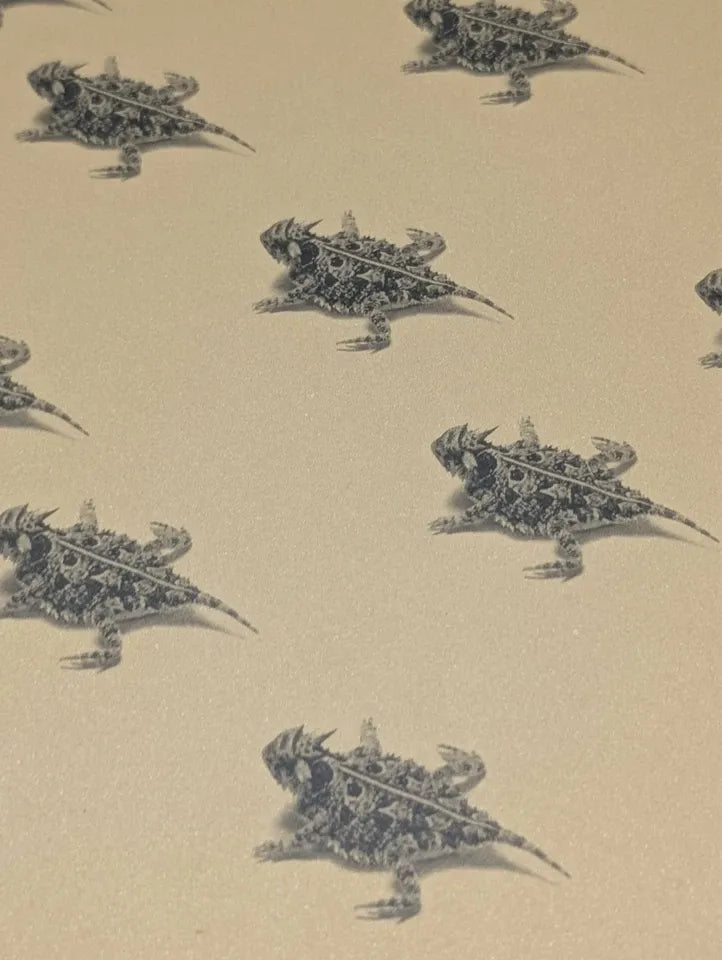 Big Bend Pictures- Travel Photography