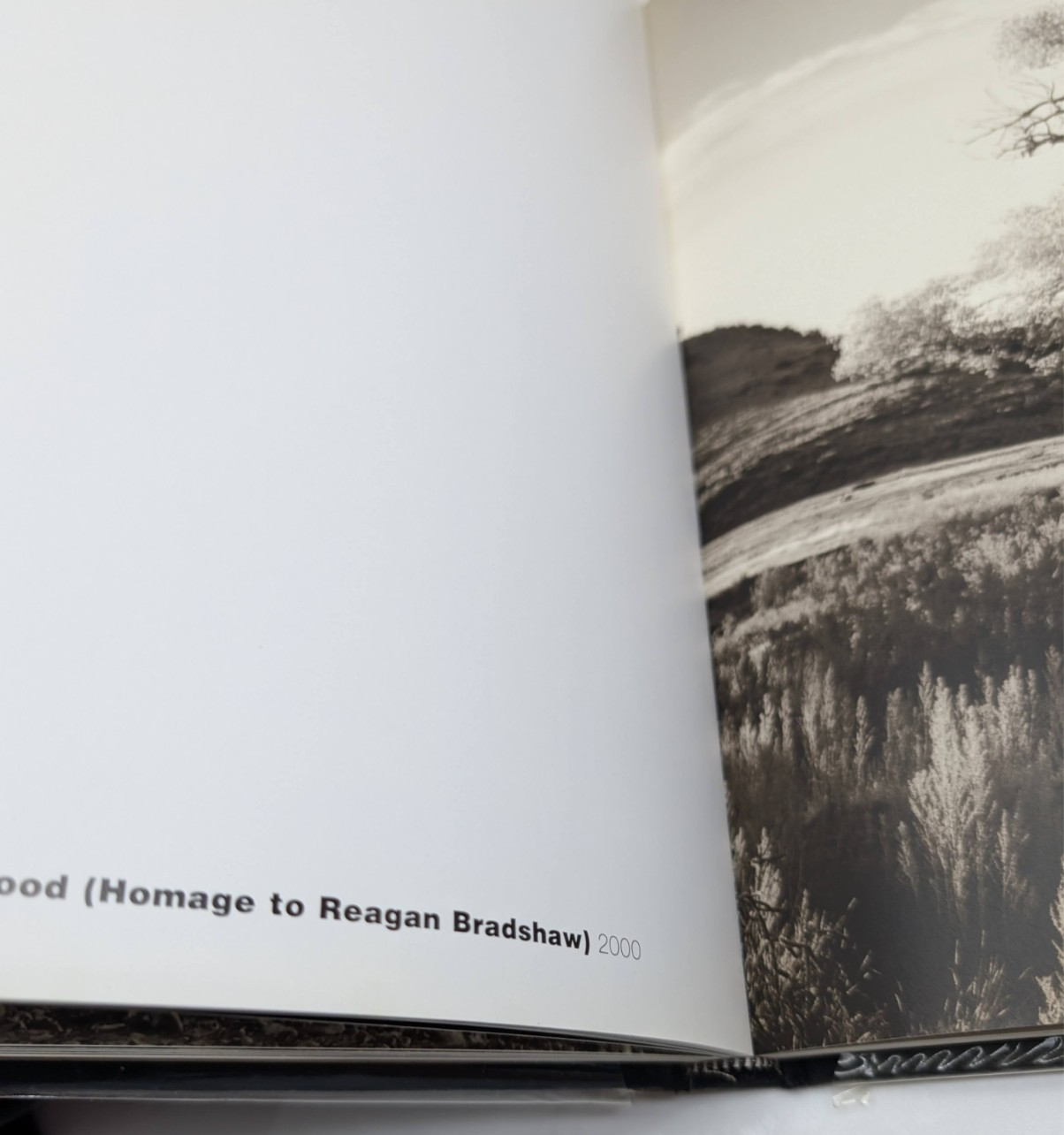 Big Bend Pictures- Travel Photography